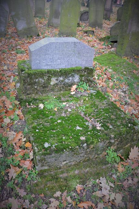 Na cmentarzu żydowkim (27).JPG