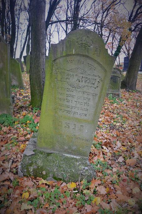 Na cmentarzu żydowkim (29).JPG