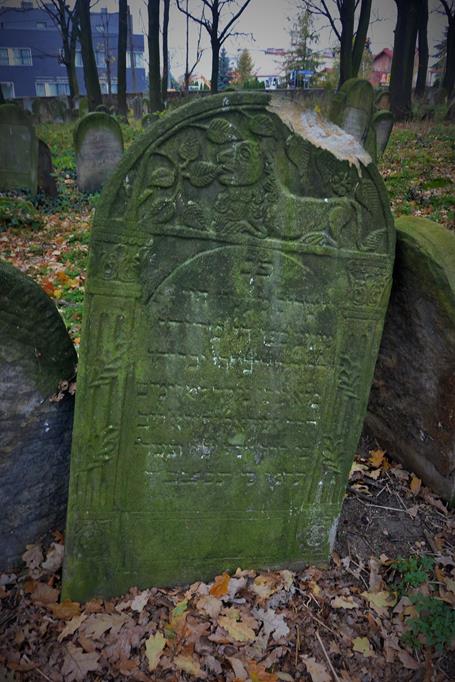 Na cmentarzu żydowkim (37).JPG