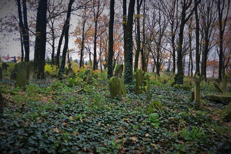 Na cmentarzu żydowkim (44).JPG
