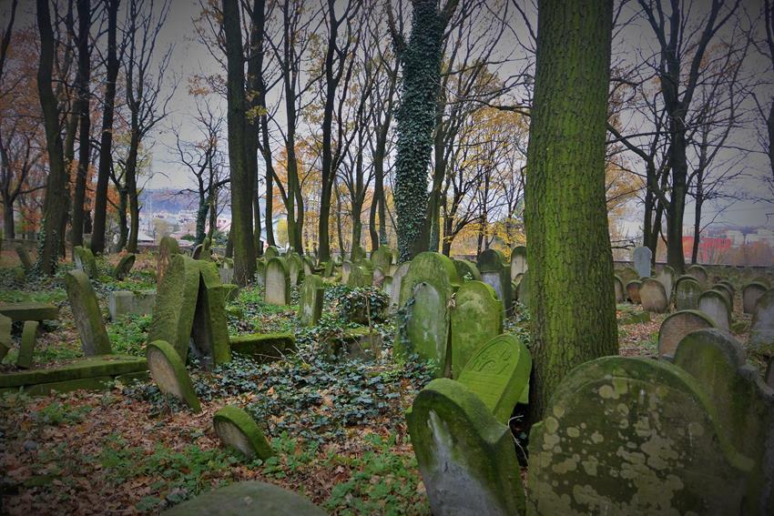 Na cmentarzu żydowkim (45).JPG