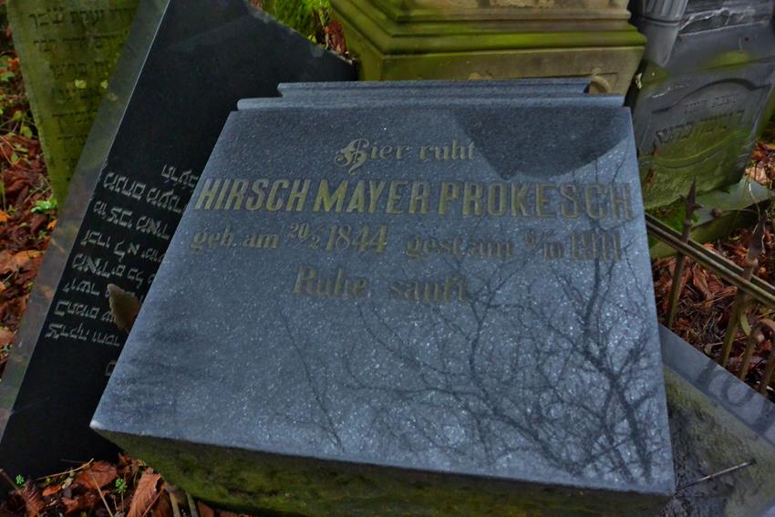 Hirsch Mayer Prokesch (5).JPG