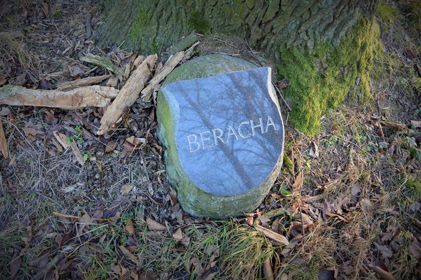 Beracha (2).JPG
