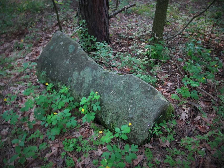Pławno - cmentarz żydowski (5).jpg