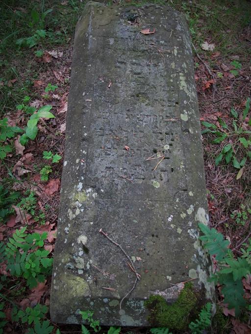 Pławno - cmentarz żydowski (9).jpg