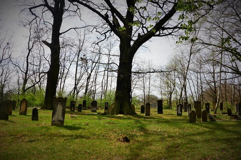 Widok ogólny na cmentarz (12).JPG