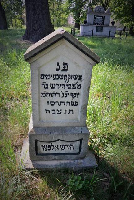 Cmentarz żydowski (23).JPG