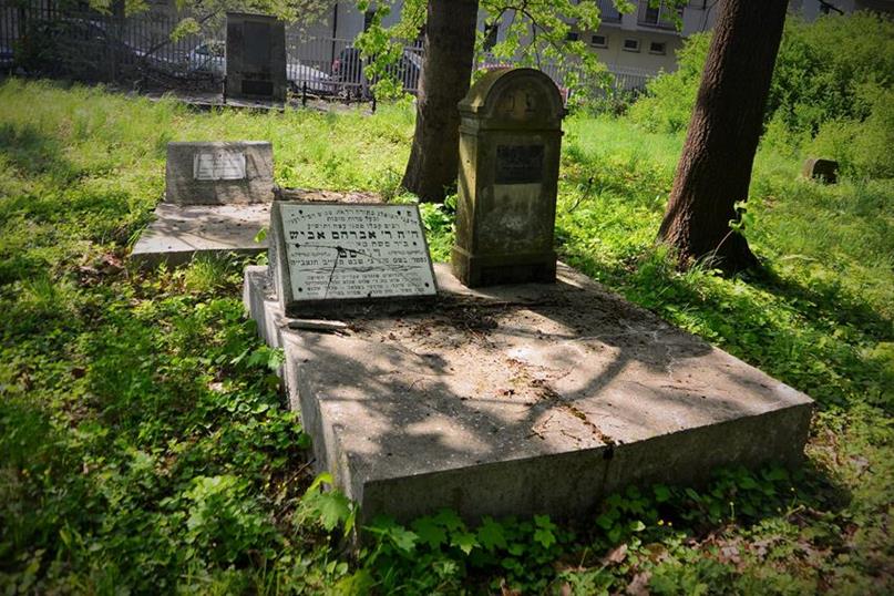 Cmentarz żydowski (30).JPG