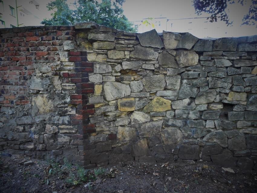Zachowany fragment muru (3).JPG