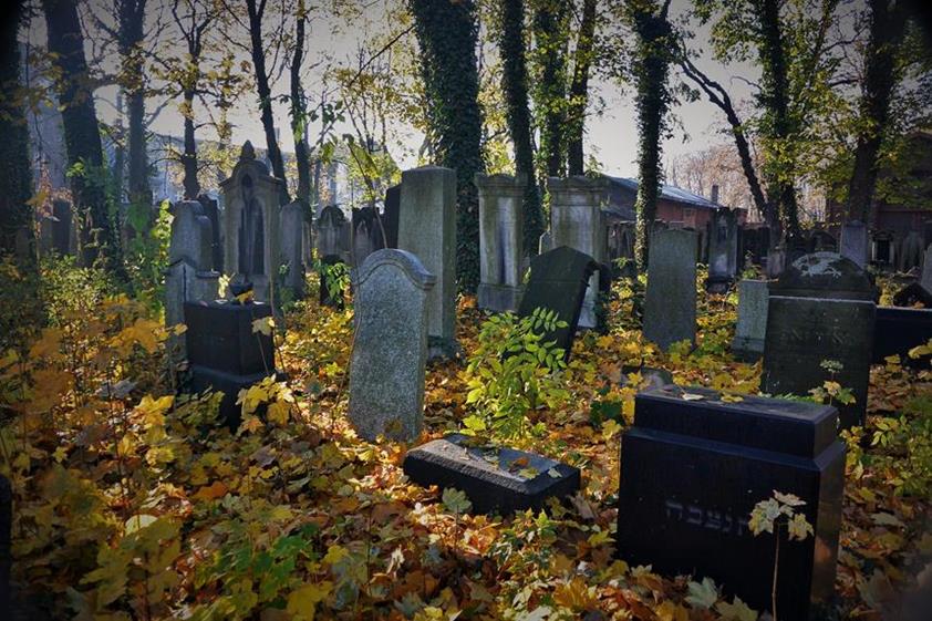 Cmentarz żydowski w Bytomiu (14).JPG