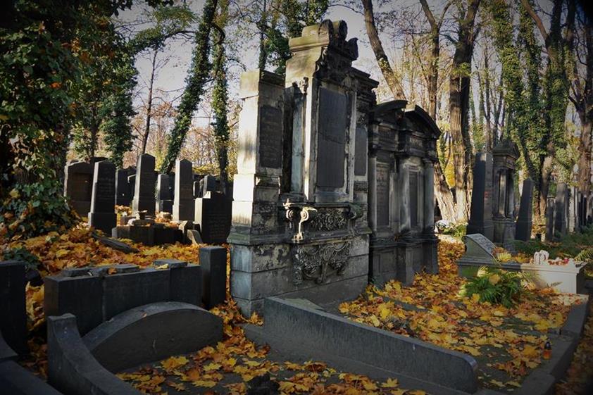 Cmentarz żydowski w Bytomiu (24).JPG