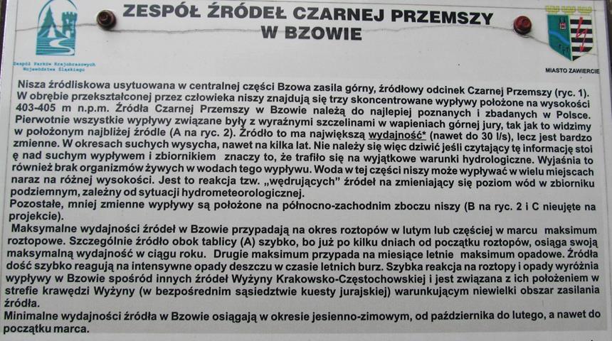 Bzów - żródła Czarnej Przemszy w roku 2012 (16).jpg