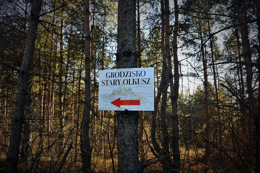 Grodzisko Stary Olkusz (8).JPG