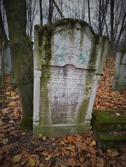 Cmentarz żydowski (13).jpg