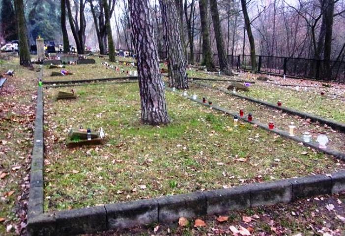 Cmentarz jeńców radzieckich  na Borku Fałęckim - fot. 1.JPG