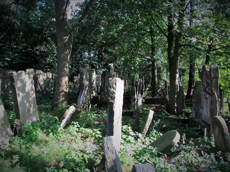 Cmentarz żydowski (15).jpg