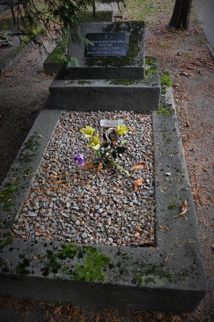 Cmentarz z I Wojny Światowej (11).JPG