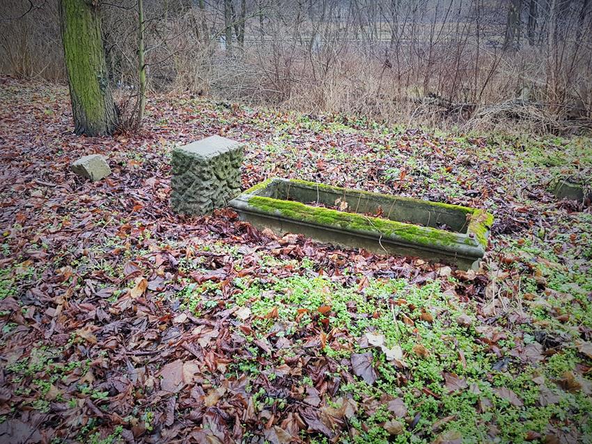 Cmentarz ewangelicki (15).jpg
