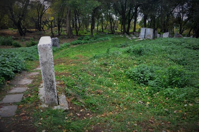 Cmentarz żydowski  (6).JPG