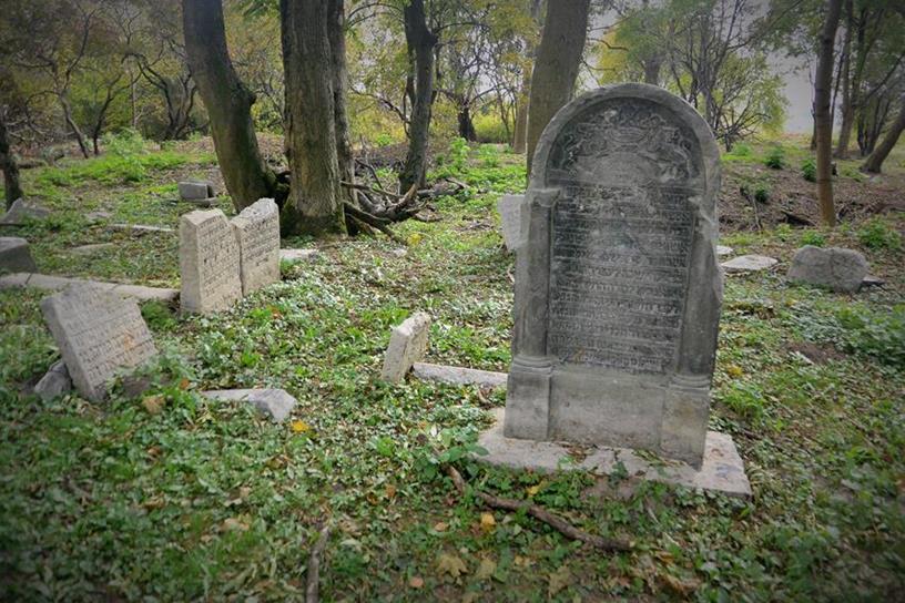Cmentarz żydowski  (10).JPG