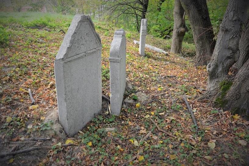 Cmentarz żydowski  (19).JPG