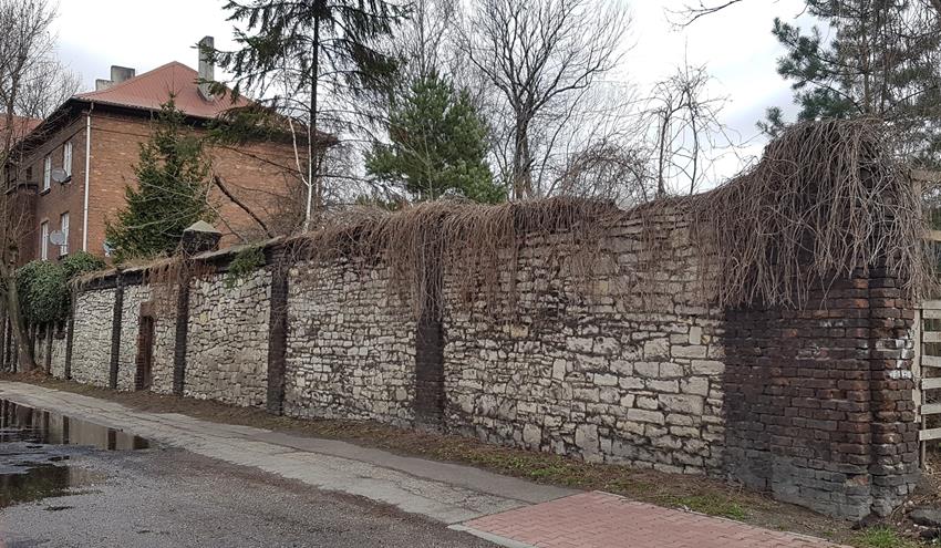 Mur przy ulicy Skautów (1).jpg