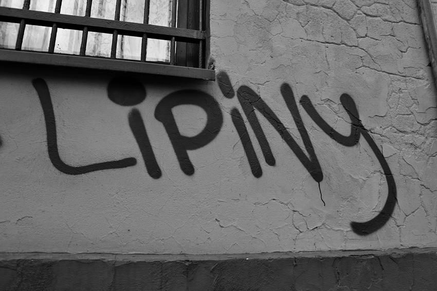 Lipiny 2019 (30).JPG