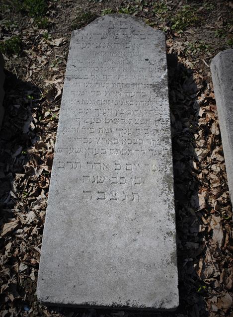 Cmentarz w Czechowicach - Dziedzicach (22).JPG