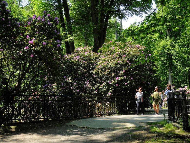 Moszna - park zamkowy (12).JPG