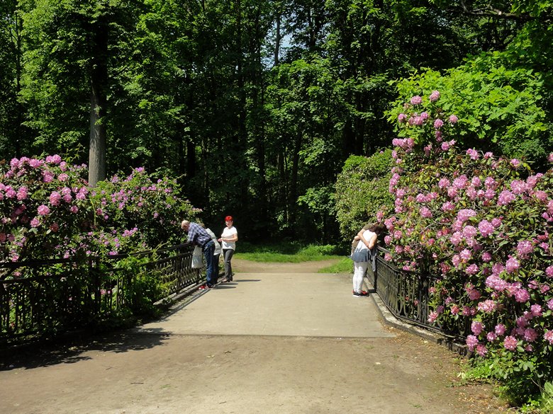 Moszna - park zamkowy (13).JPG