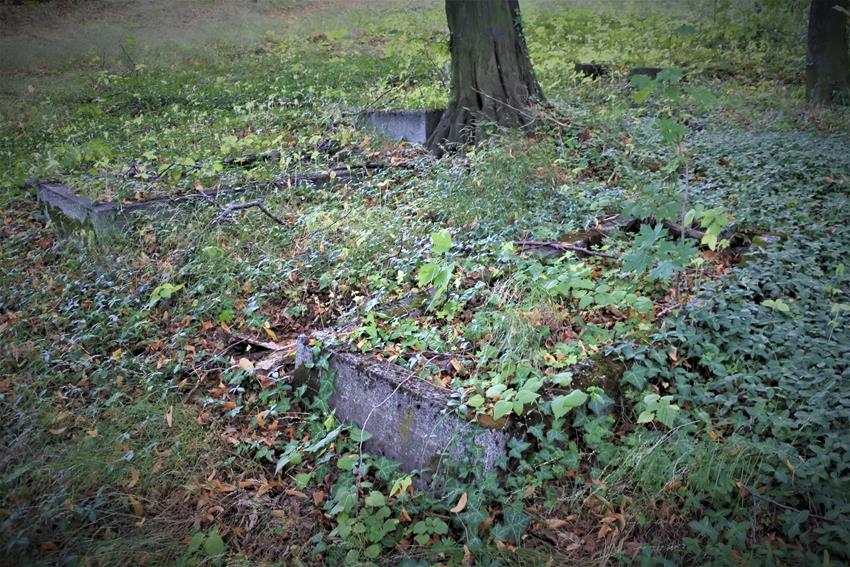 Cmentarz ewangelicki (21).JPG