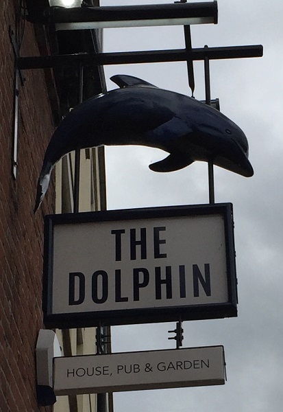 the delphin.jpg