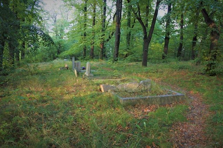 Cmentarz żydowski w Świdnicy (4).JPG