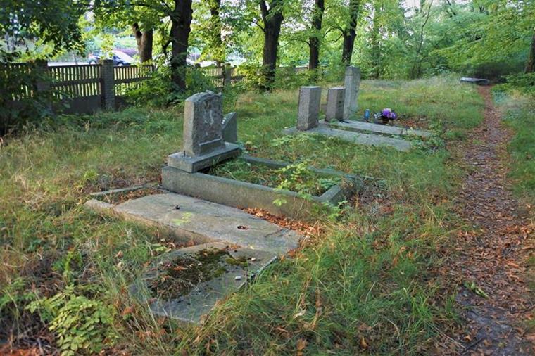 Cmentarz żydowski w Świdnicy (5).JPG