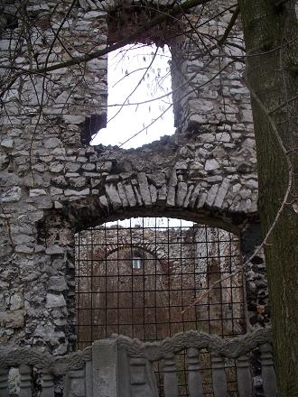 Zarzecze - ruiny koscioła (6).jpg