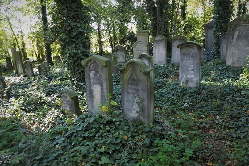 Cmentarz żydowski (20).JPG
