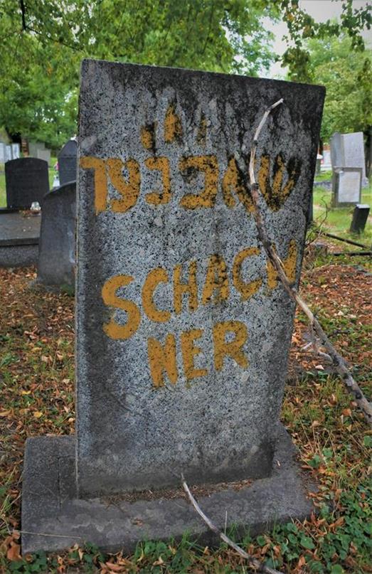 Cmentarz żydowski (29).JPG