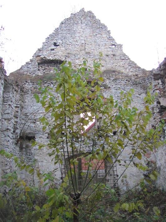 Zarzecze - ruiny kościoła (12).jpg