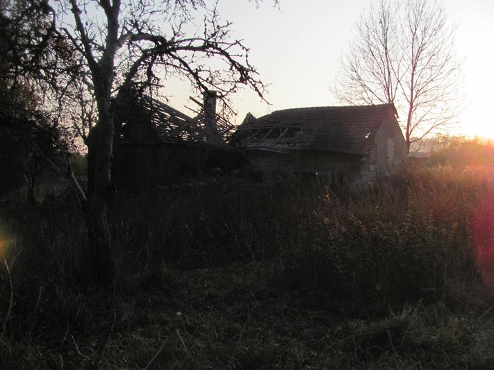 Opuszczony dom w Pilicy - listopad 2011 (3).jpg