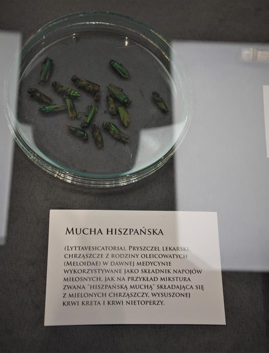 Muzeum Medycyny i Farmacji (8).JPG