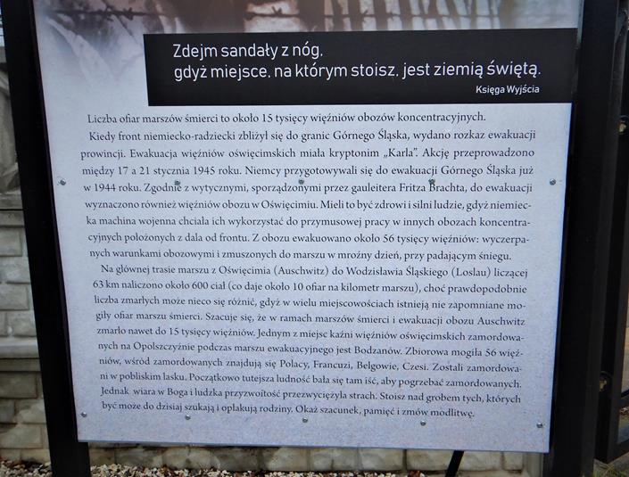 Mogiła  (3).JPG