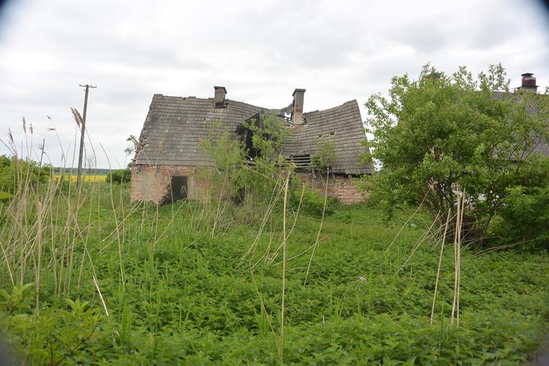 Chlewnie i tuczarnie w Będuszu (11).JPG