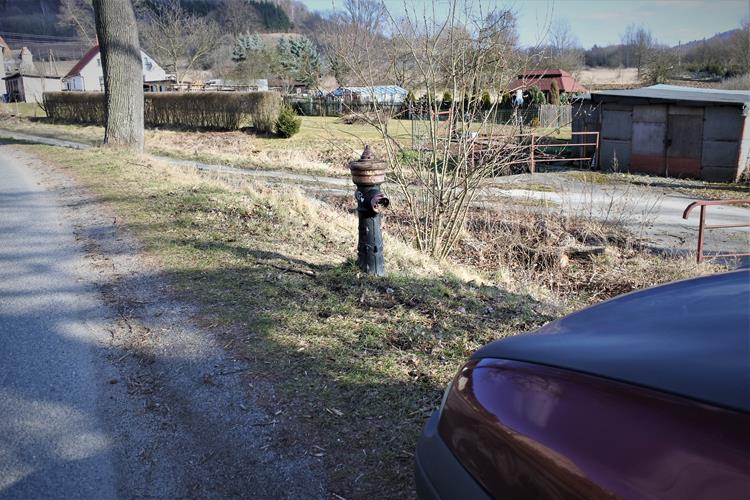 Dzikowiec - stary hydrant (1).JPG