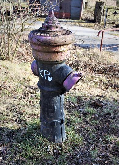 Dzikowiec - stary hydrant (2).JPG