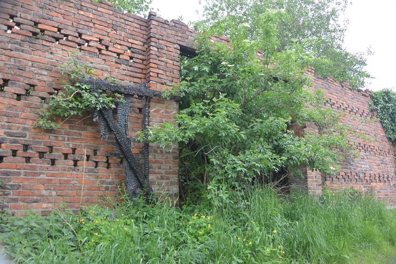 Stare stodoły (11).JPG