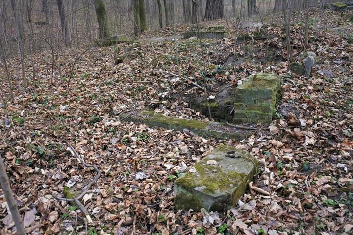 Cmentarz żydowski w Paczkowie (4).JPG