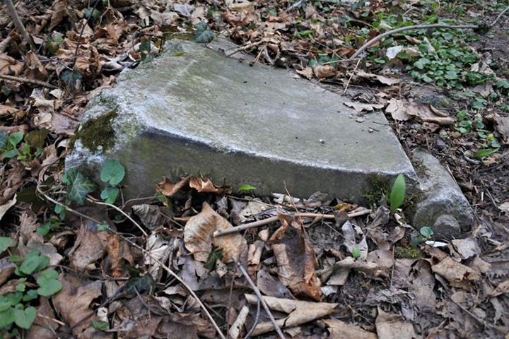 Cmentarz żydowski w Paczkowie (5).JPG