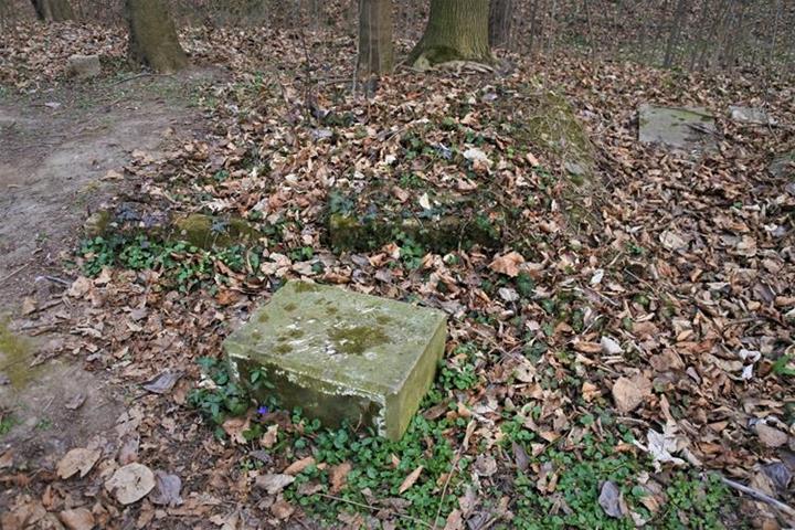 Cmentarz żydowski w Paczkowie (7).JPG