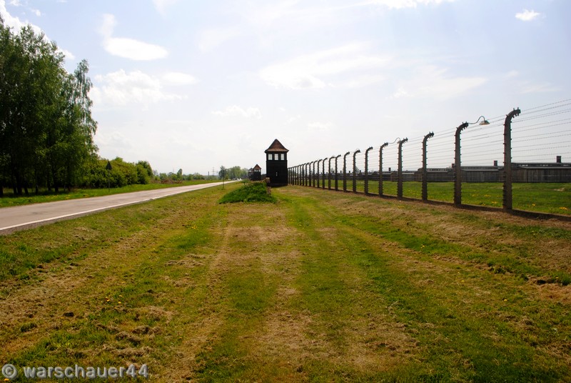 Birkenau_1.jpg