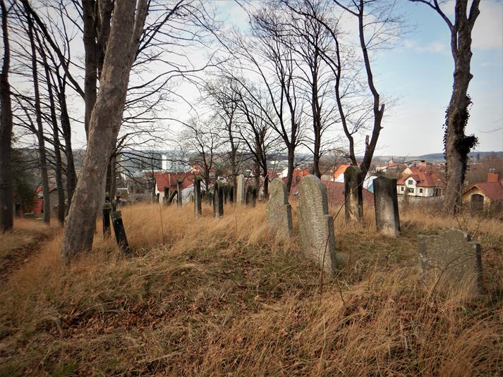 Cmentarz żydowski w Ziębicach (3).JPG